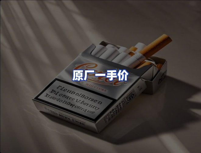 专业团队